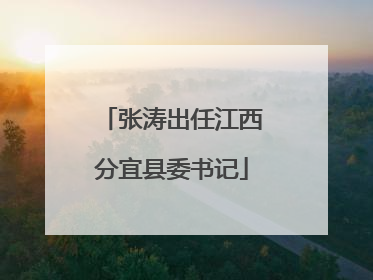 张涛出任江西分宜县委书记