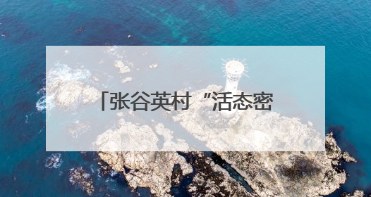 张谷英村“活态密码”引百万客！古村焕新，家风+科技成文旅融合新爆点