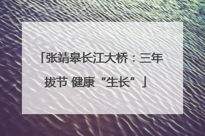 张靖皋长江大桥：三年拔节 健康“生长”