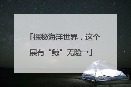 探秘海洋世界，这个展有“鲸”无险→