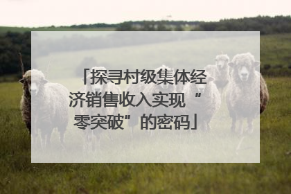 探寻村级集体经济销售收入实现“零突破”的密码