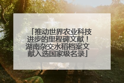 推动世界农业科技进步的里程碑文献！湖南杂交水稻档案文献入选国家级名录
