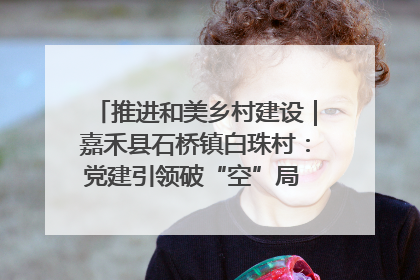 推进和美乡村建设｜嘉禾县石桥镇白珠村：党建引领破“空”局 乡贤聚力绘就新图景