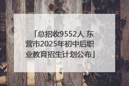 总招收9552人 东营市2025年初中后职业教育招生计划公布