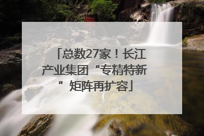 总数27家！长江产业集团“专精特新”矩阵再扩容