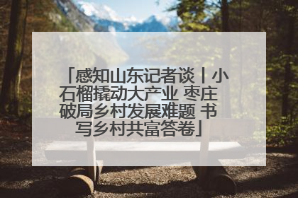 感知山东记者谈丨小石榴撬动大产业 枣庄破局乡村发展难题 书写乡村共富答卷