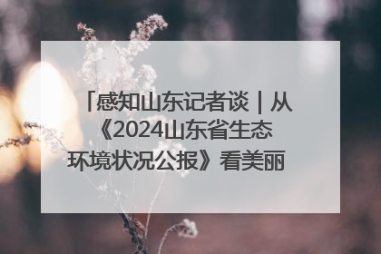 感知山东记者谈｜从《2024山东省生态环境状况公报》看美丽山东建设的“成绩单”与“任务书”