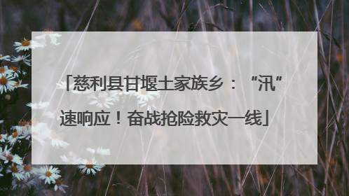 慈利县甘堰土家族乡：“汛”速响应！奋战抢险救灾一线