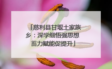 慈利县甘堰土家族乡：深学细悟强思想 蓄力赋能促提升