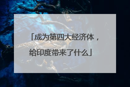 成为第四大经济体，给印度带来了什么