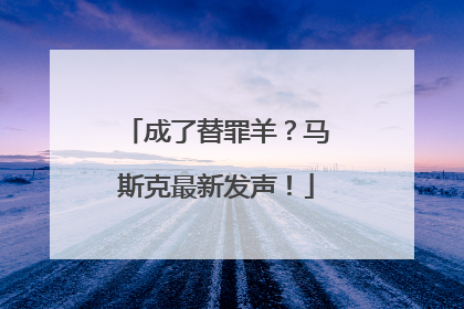 成了替罪羊？马斯克最新发声！