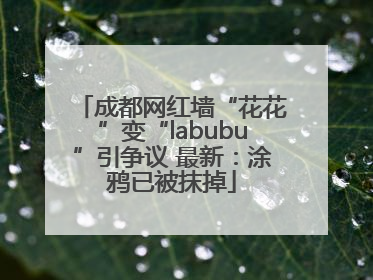 成都网红墙“花花”变“labubu”引争议 最新：涂鸦已被抹掉