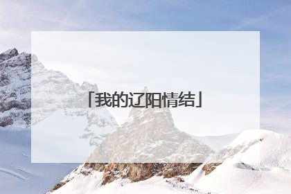 我的辽阳情结
