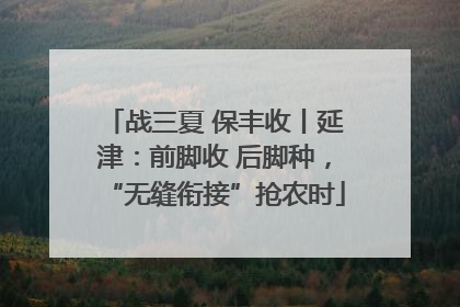 战三夏 保丰收丨延津：前脚收 后脚种，“无缝衔接”抢农时