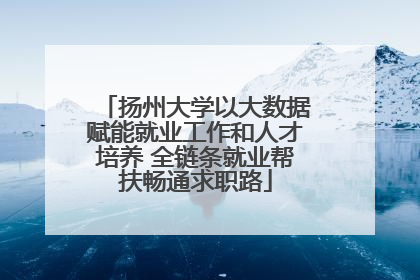 扬州大学以大数据赋能就业工作和人才培养 全链条就业帮扶畅通求职路