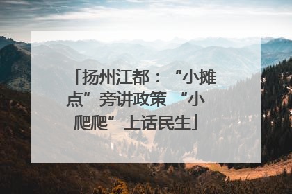 扬州江都：“小摊点”旁讲政策 “小爬爬”上话民生