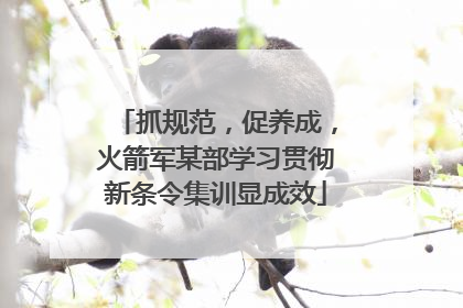 抓规范，促养成，火箭军某部学习贯彻新条令集训显成效