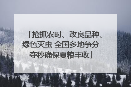 抢抓农时、改良品种、绿色灭虫 全国多地争分夺秒确保夏粮丰收