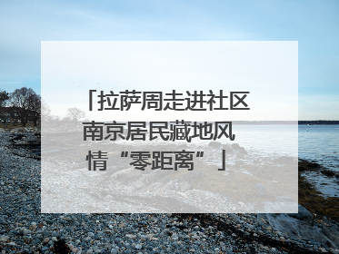拉萨周走进社区 南京居民藏地风情“零距离”