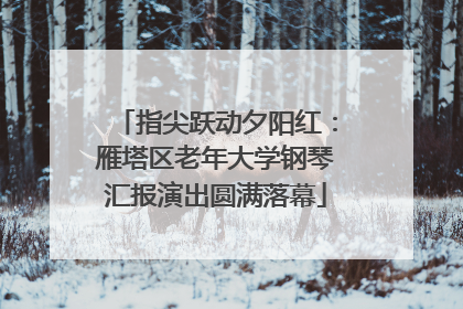 指尖跃动夕阳红：雁塔区老年大学钢琴汇报演出圆满落幕