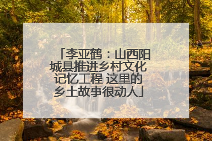 李亚鹤：山西阳城县推进乡村文化记忆工程 这里的乡土故事很动人