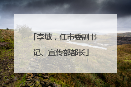 李敏，任市委副书记、宣传部部长