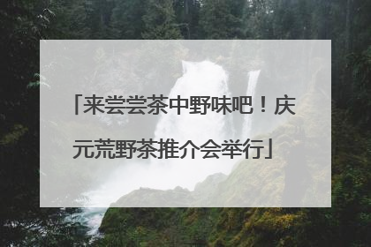 来尝尝茶中野味吧！庆元荒野茶推介会举行