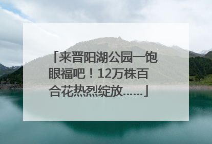 来晋阳湖公园一饱眼福吧！12万株百合花热烈绽放……
