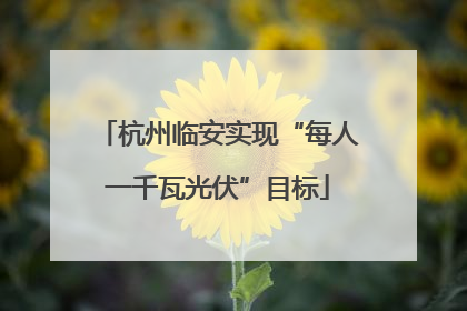 杭州临安实现“每人一千瓦光伏”目标