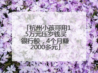 杭州小孩哥用1.5万元压岁钱买银行股，4个月赚2000多元