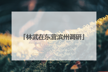 林武在东营滨州调研