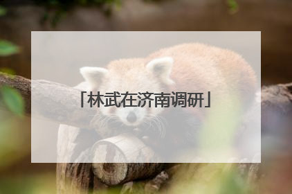 林武在济南调研