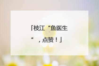 枝江“鱼医生”，点赞！