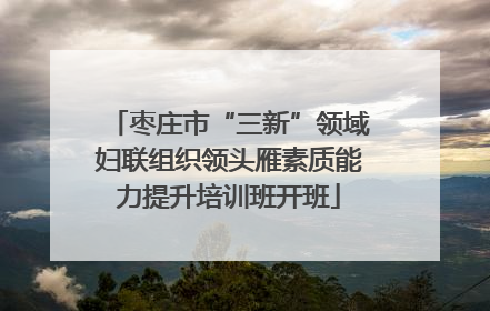 枣庄市“三新”领域妇联组织领头雁素质能力提升培训班开班