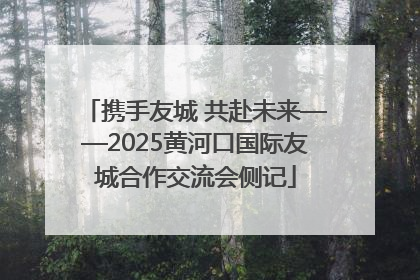 携手友城 共赴未来——2025黄河口国际友城合作交流会侧记