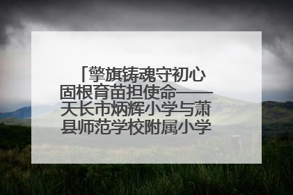 擎旗铸魂守初心 固根育苗担使命——天长市炳辉小学与萧县师范学校附属小学结对共建活动纪实