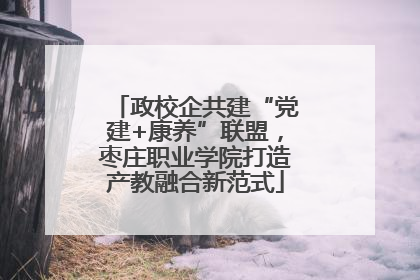 政校企共建“党建+康养”联盟，枣庄职业学院打造产教融合新范式