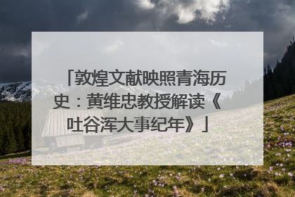 敦煌文献映照青海历史：黄维忠教授解读《吐谷浑大事纪年》