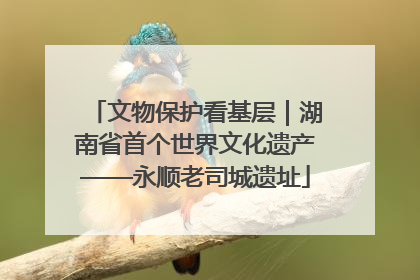 文物保护看基层｜湖南省首个世界文化遗产——永顺老司城遗址
