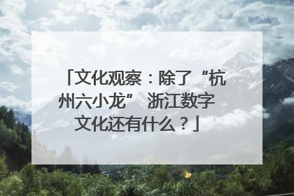 文化观察：除了“杭州六小龙” 浙江数字文化还有什么？