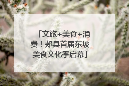 文旅+美食+消费！郏县首届东坡美食文化季启幕