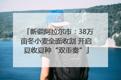 新疆阿拉尔市：38万亩冬小麦全面收割 开启夏收夏种“双重奏”