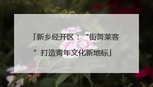 新乡经开区：“街舞莱客”打造青年文化新地标