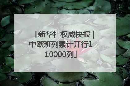 新华社权威快报｜中欧班列累计开行110000列