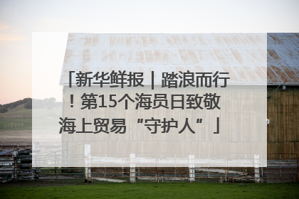 新华鲜报｜踏浪而行！第15个海员日致敬海上贸易“守护人”