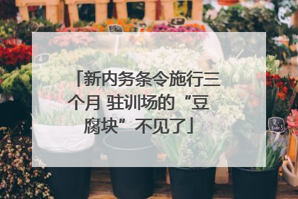 新内务条令施行三个月 驻训场的“豆腐块”不见了