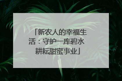 新农人的幸福生活：守护一库碧水 耕耘甜蜜事业
