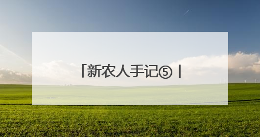 新农人手记⑤丨当湘潭白莲遇上云端电商 新视野带来了新路径