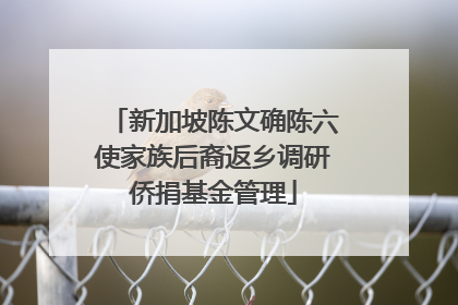 新加坡陈文确陈六使家族后裔返乡调研侨捐基金管理