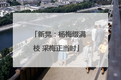 新晃：杨梅缀满枝 采梅正当时